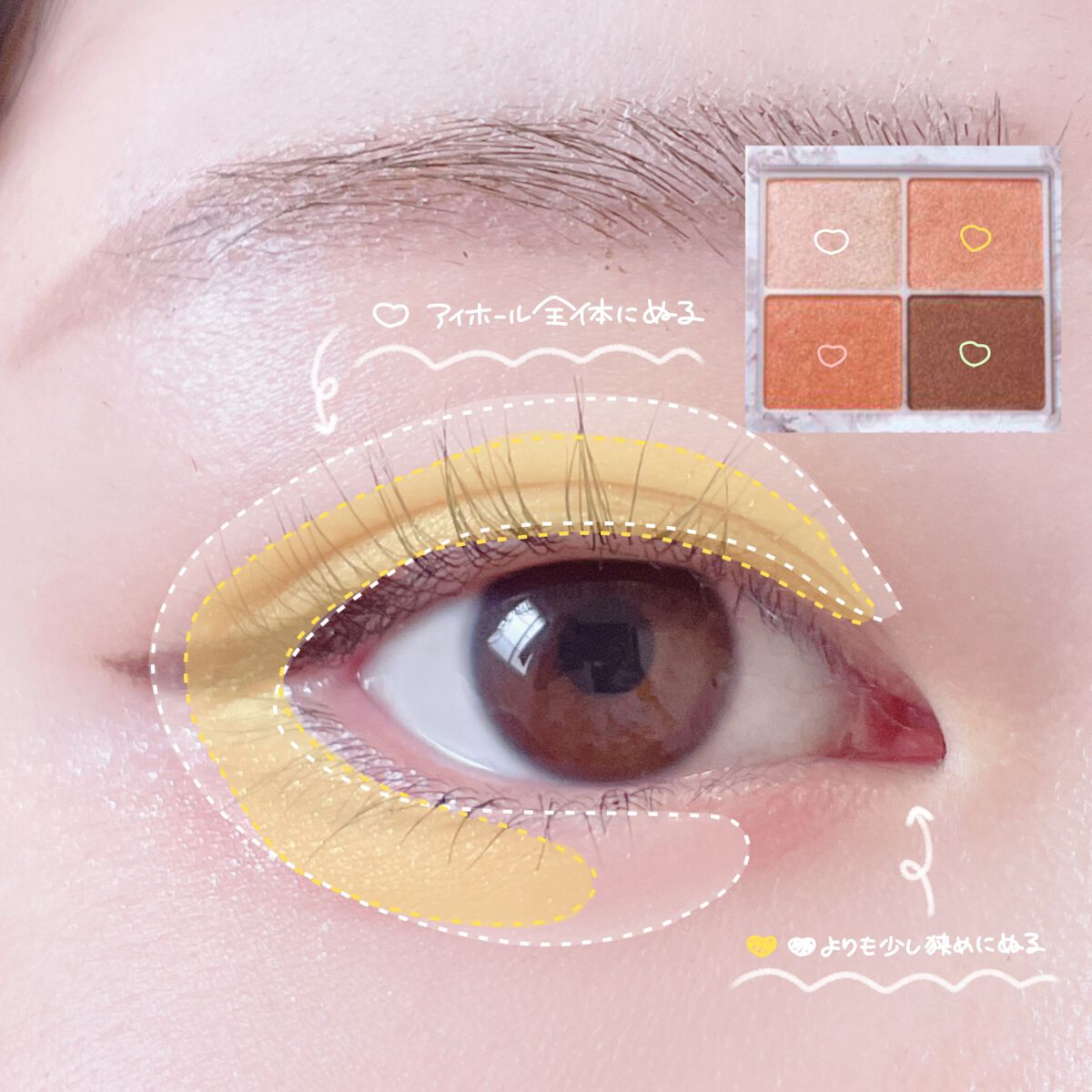 エテュセ アイエディション（マスカラベース）ウォームスタイル/ettusais/マスカラ下地を使ったクチコミ（2枚目）