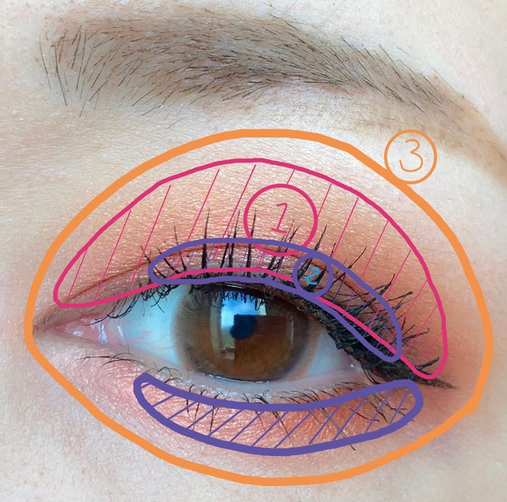 アイラブチョコレート/MAKEUP REVOLUTION/アイシャドウパレットを使ったクチコミ（2枚目）