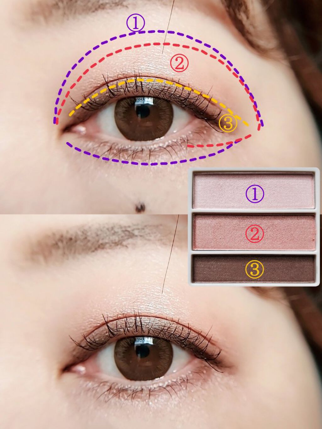 AC グラデーションアイカラー/AC MAKEUP/アイシャドウパレットを使ったクチコミ（3枚目）