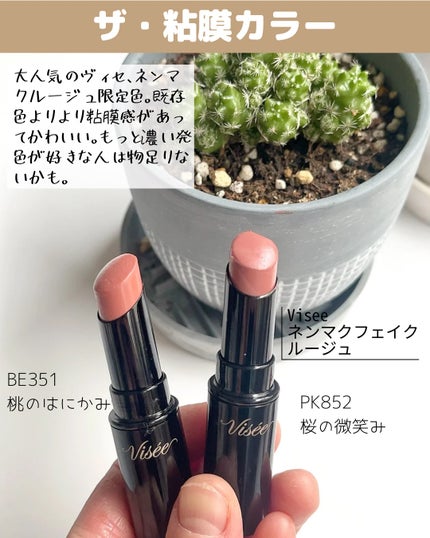 ネンマクフェイク ルージュ/Visée/口紅を使ったクチコミ(6枚目)