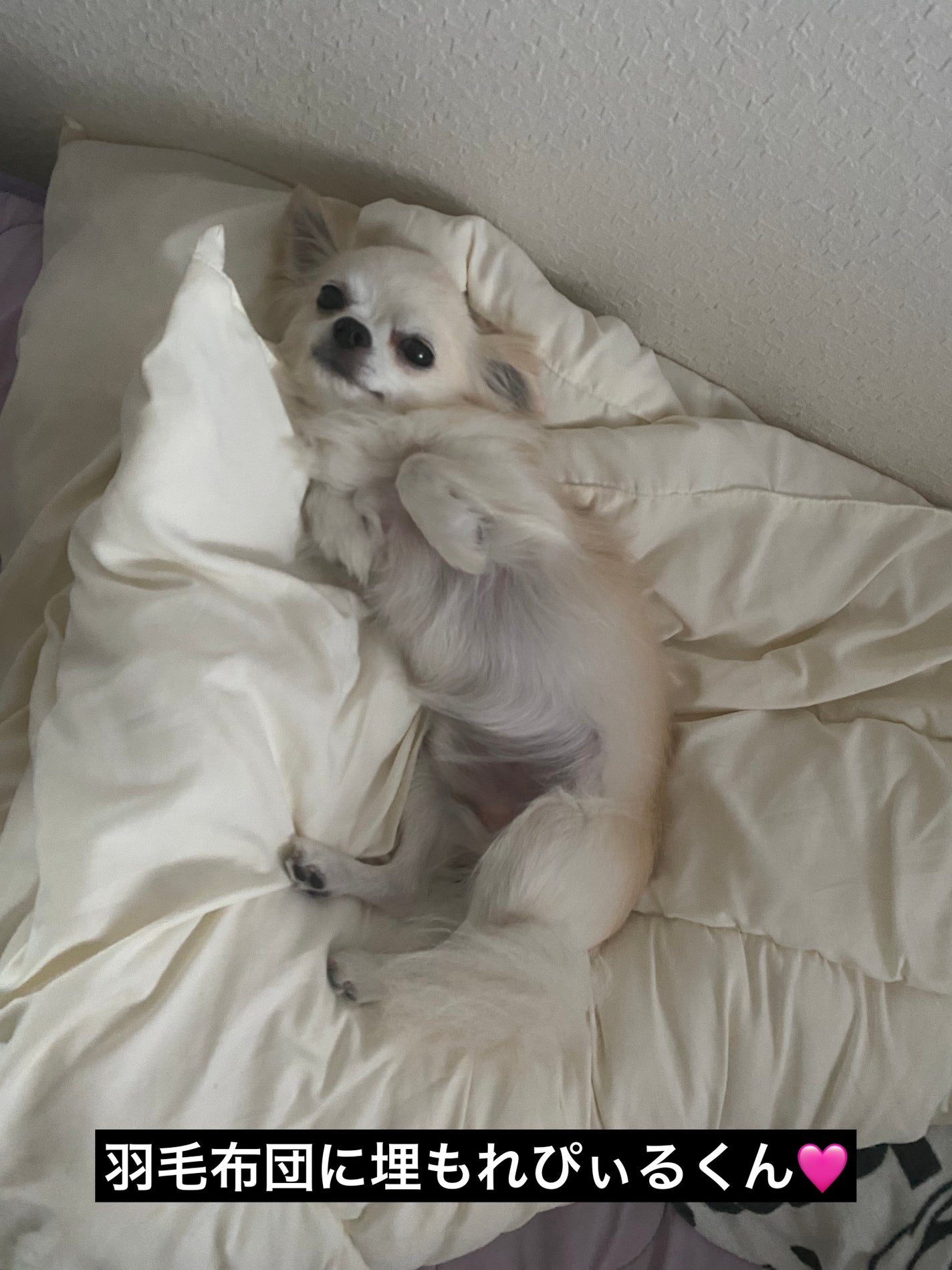 スムージング シートマスク/SNIDEL BEAUTY/シートマスク・パックを使ったクチコミ(7枚目)