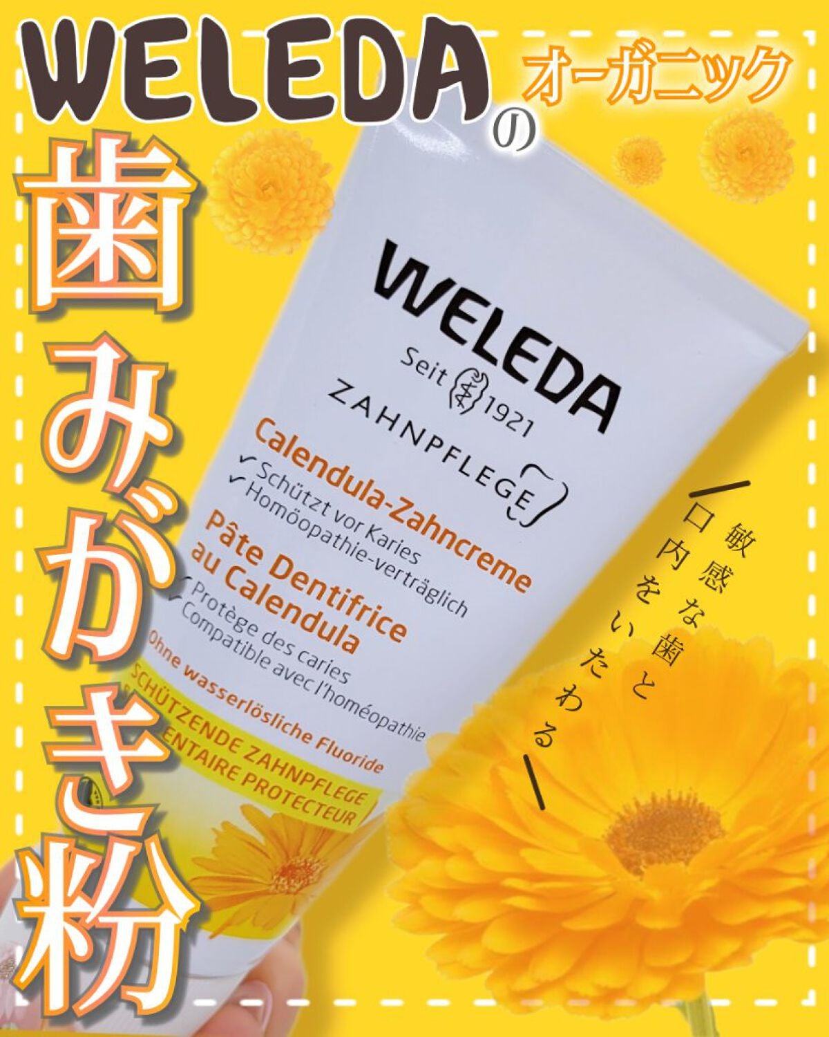 歯みがき カレンドラ/WELEDA/歯磨き粉を使ったクチコミ(1枚目)