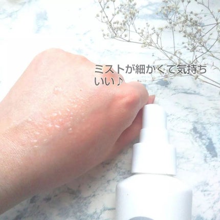 モイスチャー ミストローションII(しっとり)/アルージェ/ミスト状化粧水を使ったクチコミ(2枚目)