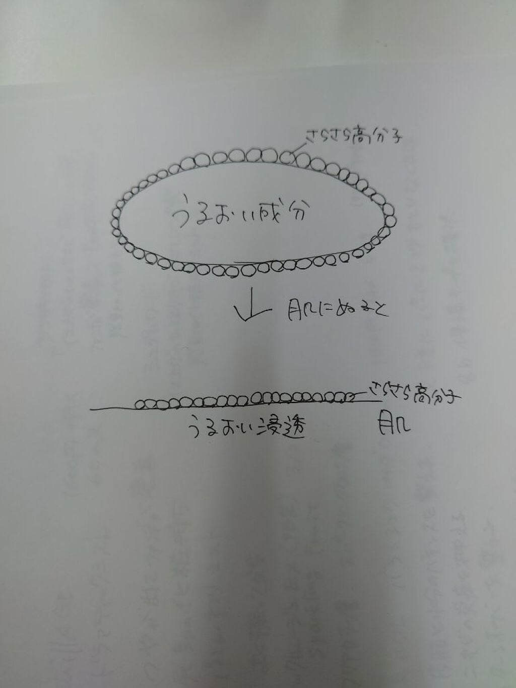 エリクシール ルフレ バランシング みずクリーム/エリクシール/フェイスクリームを使ったクチコミ(2枚目)