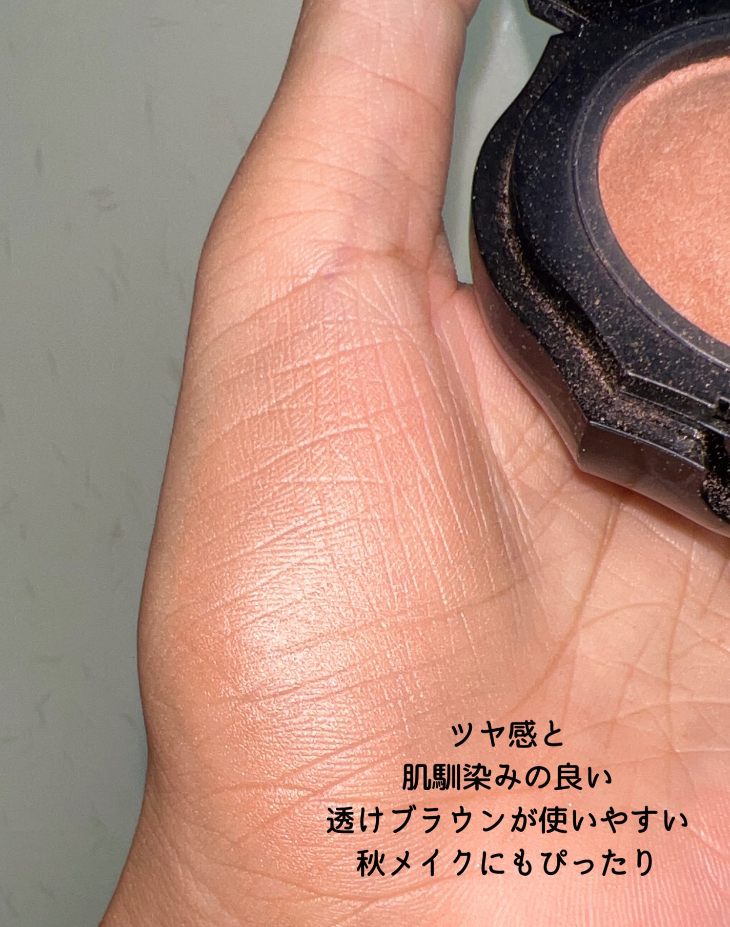 フォギーオンチークス N/Visée/パウダーチークを使ったクチコミ(5枚目)