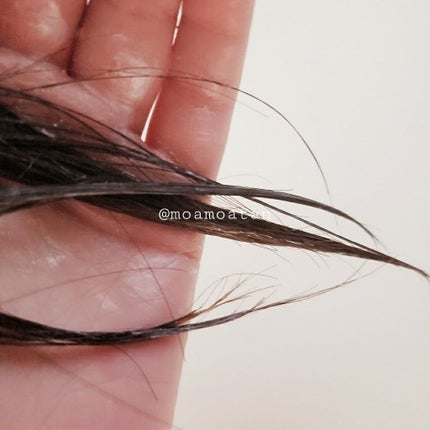 モイストリペア ヘアマスク/Canael Style /ヘアマスク・ヘアパックを使ったクチコミ(4枚目)