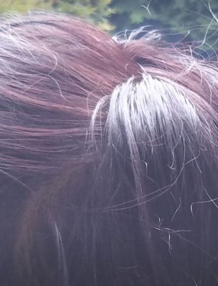 泡カラー/リーゼ/ヘアカラーを使ったクチコミ(2枚目)