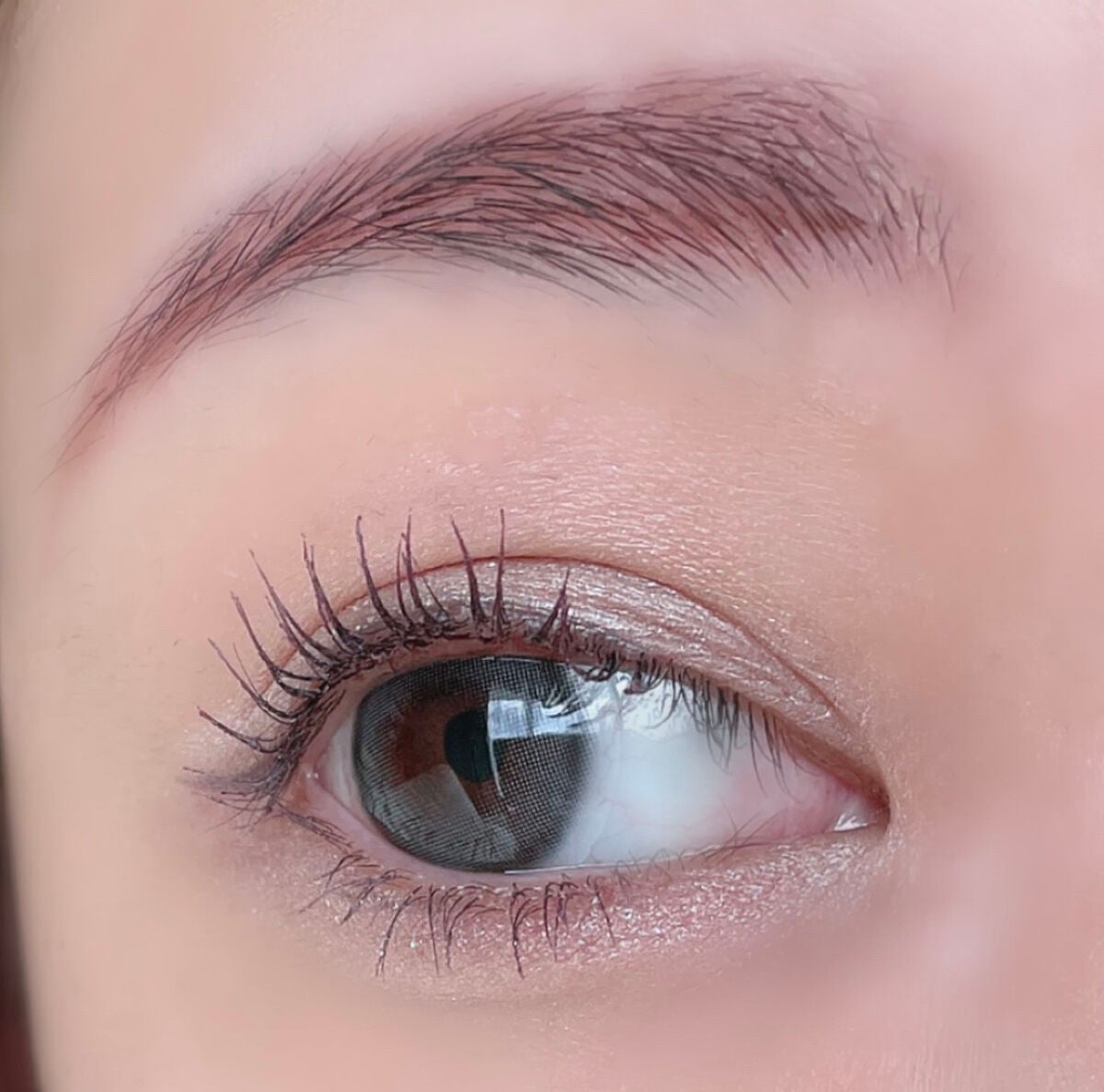 さくら on LIPS 「今日はMITSUNOレンズの新作カラコンArielのグレーをス..」(3枚目)