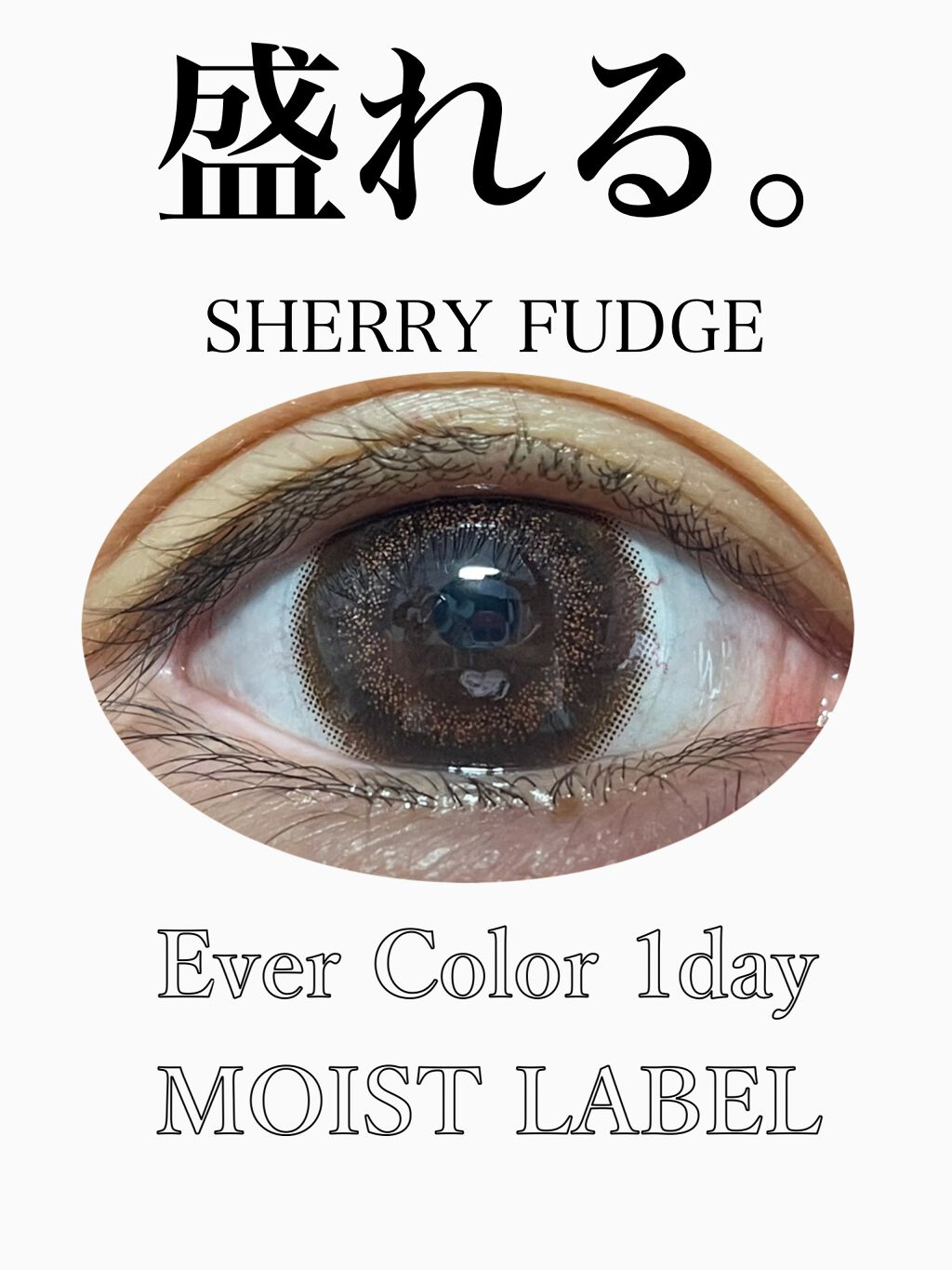 エバーカラーワンデー モイストレーベル シェリーファッジ/エバーカラー/ワンデー（１DAY）カラコンを使ったクチコミ（1枚目）