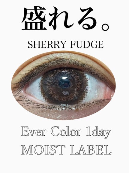 エバーカラーワンデー モイストレーベル/エバーカラー/ワンデー(1DAY)カラコンを使ったクチコミ(1枚目)