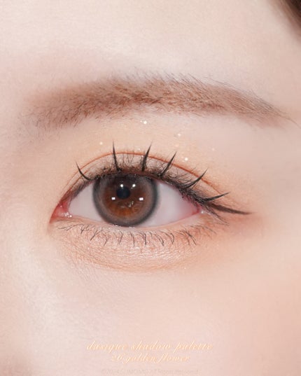 シャドウパレット/dasique/アイシャドウパレットを使ったクチコミ(5枚目)