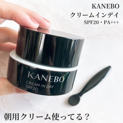 クリーム イン デイ/KANEBO/フェイスクリームを使ったクチコミ(1枚目)