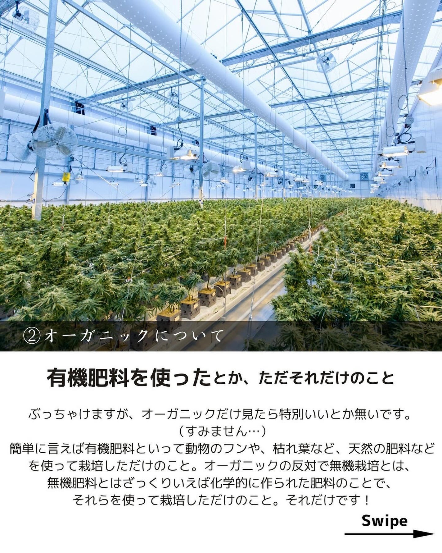 ヒロキ|40歳の美容家 ヘアケア スキンケア on LIPS 「髪を綺麗にしたい人✨___________シャントリの素朴な疑..」(4枚目)