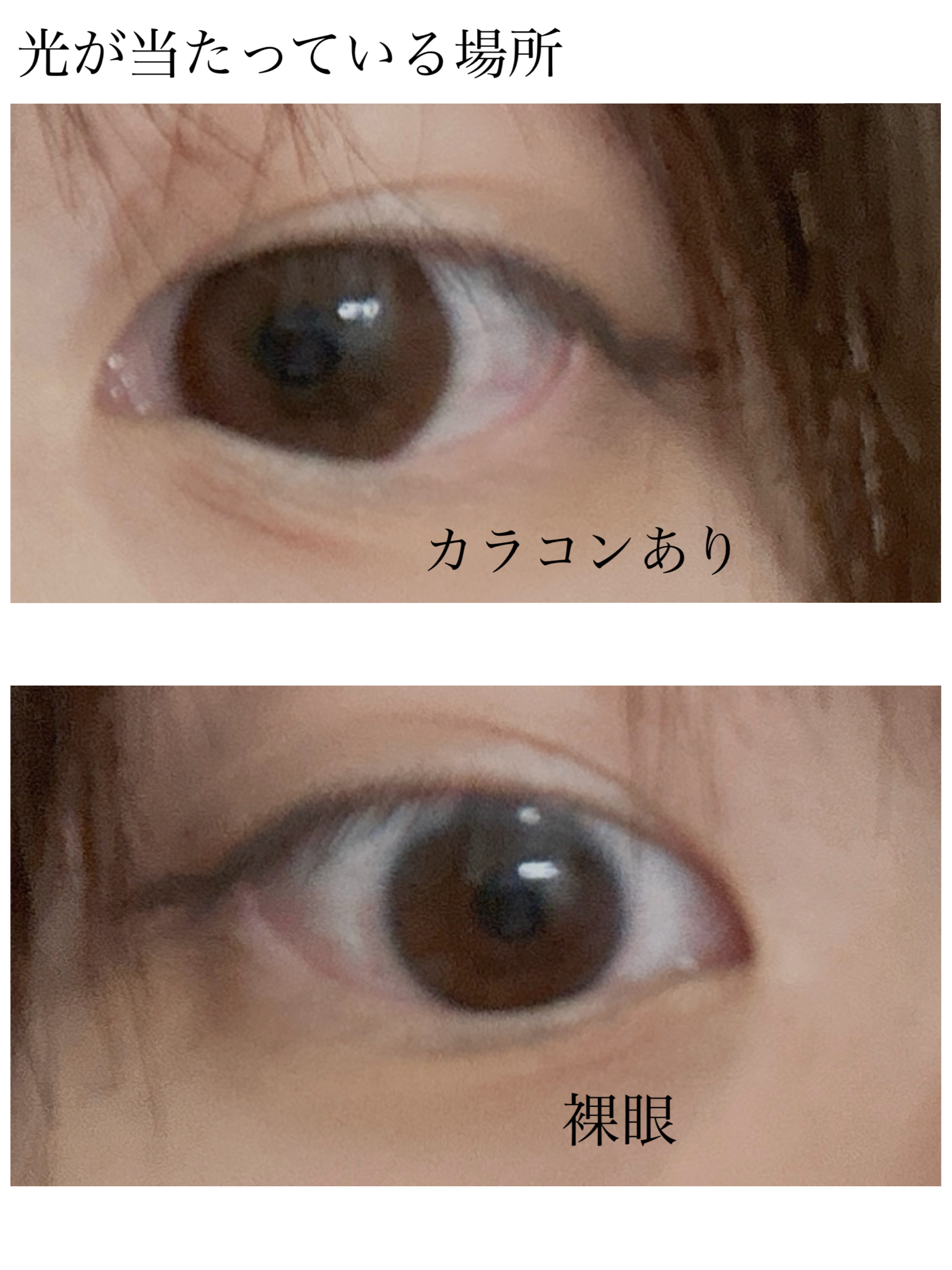 Cheritta 1day チアリーヌード(Cheery Nude)/Cheritta/ワンデー（１DAY）カラコンを使ったクチコミ（3枚目）