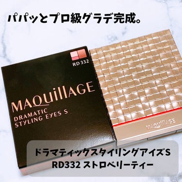 ドラマティックスタイリングアイズＳ BR734 マロンティー/マキアージュ/アイシャドウパレットを使ったクチコミ（1枚目）