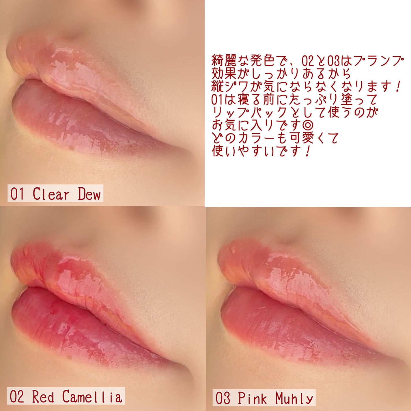 ナチュラルブルームリップオイルセラム 3色セット/PINATE/リップグロスを使ったクチコミ(5枚目)