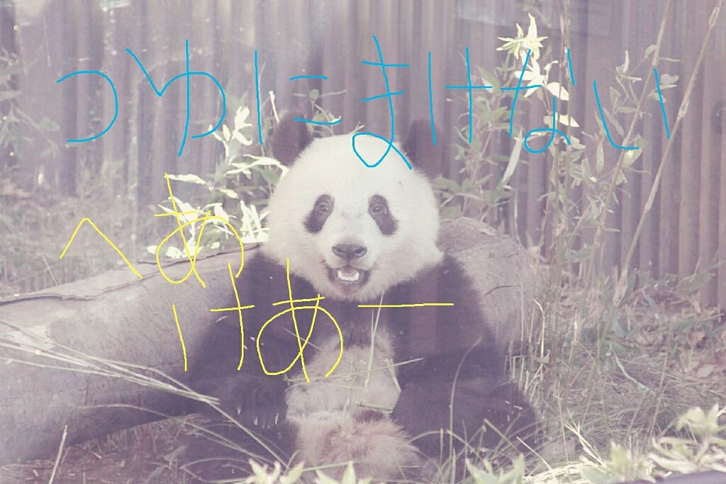 エクストラモイスト トリートメント Na/TSUBAKI/洗い流すヘアトリートメントを使ったクチコミ（1枚目）