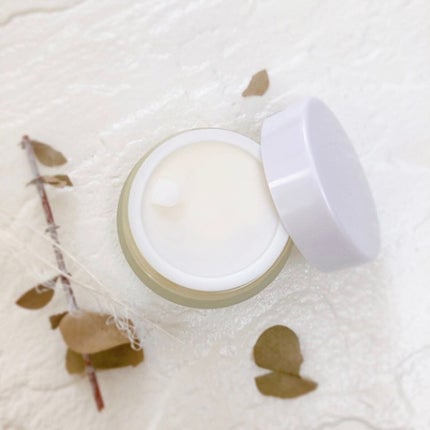 リラクシングナイトマスク/PANANINA/フェイスクリームを使ったクチコミ(3枚目)