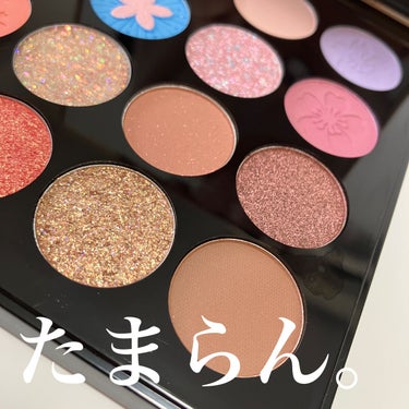 Fireworks 16 Color Eye Shadow/ZEESEA/パウダーアイシャドウを使ったクチコミ（1枚目）