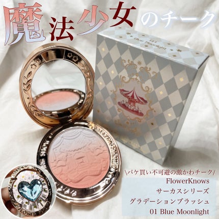 サーカスシリーズ グラデーションブラッシュ /FlowerKnows/パウダーチークを使ったクチコミ(1枚目)