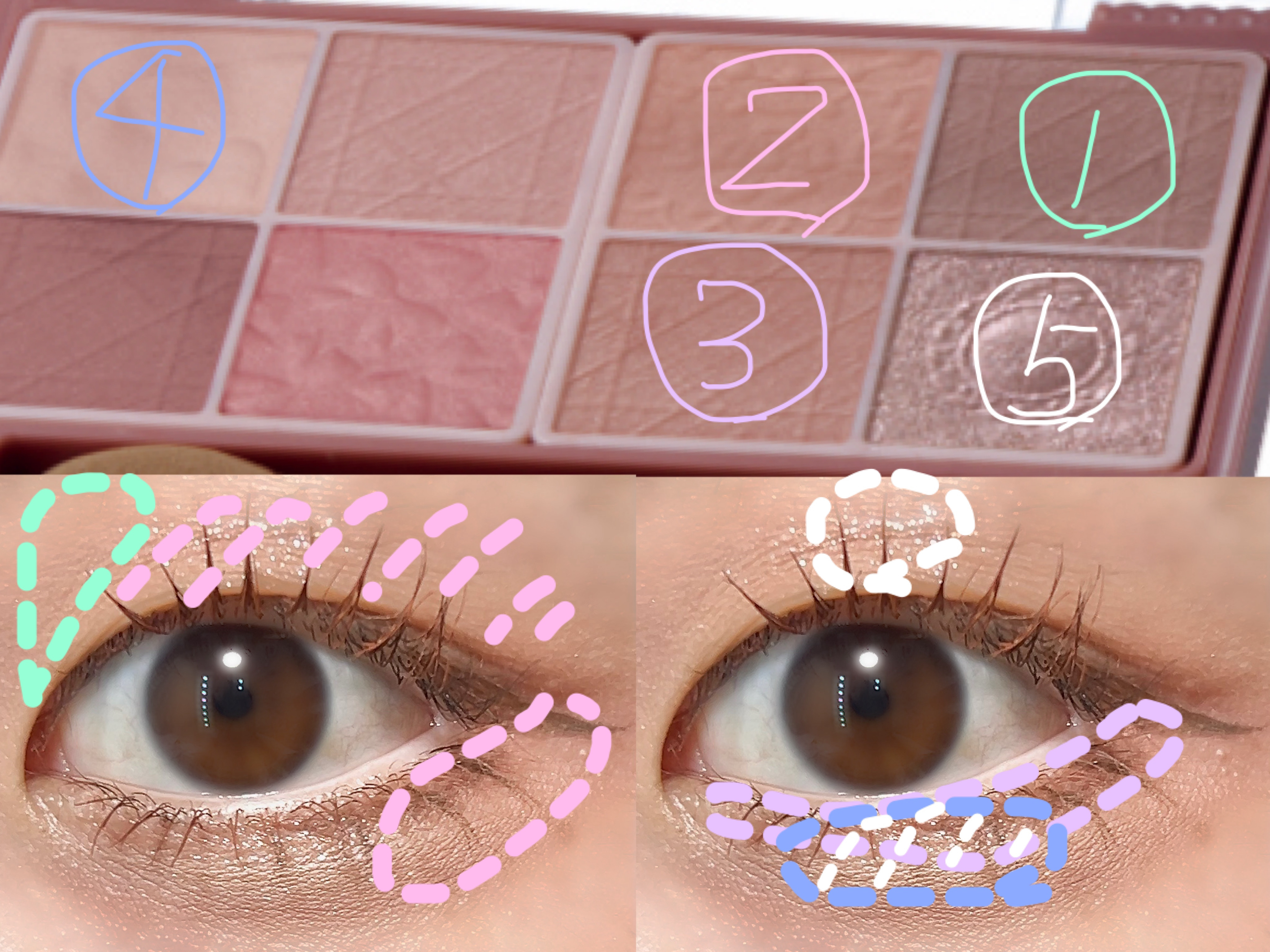 プティパレットアイズ（マットタイプ）/キャンメイク/パウダーアイシャドウを使ったクチコミ（3枚目）