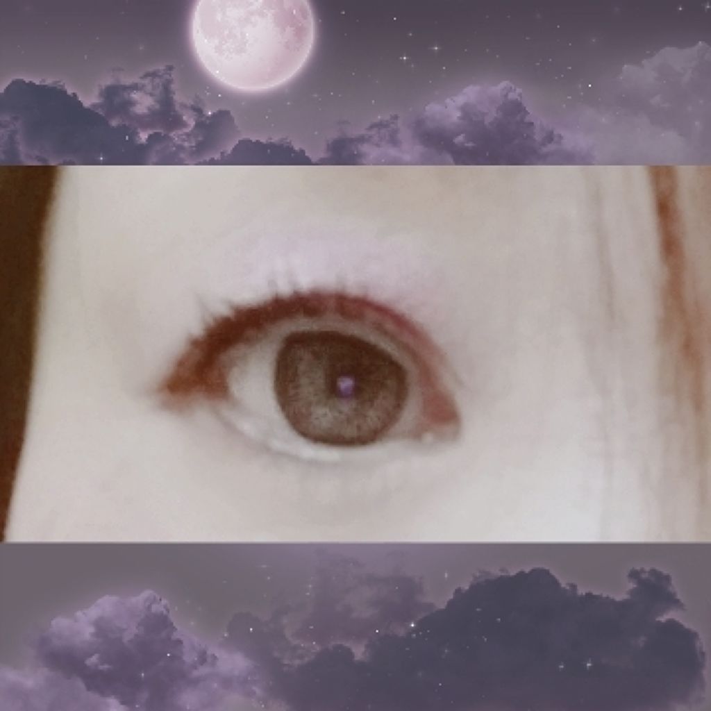 TO YOUR SHADOW/A’pieu/アイシャドウパレットを使ったクチコミ(2枚目)