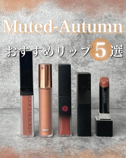 アディクション ザ マット リップ リキッド/ADDICTION/口紅を使ったクチコミ(1枚目)