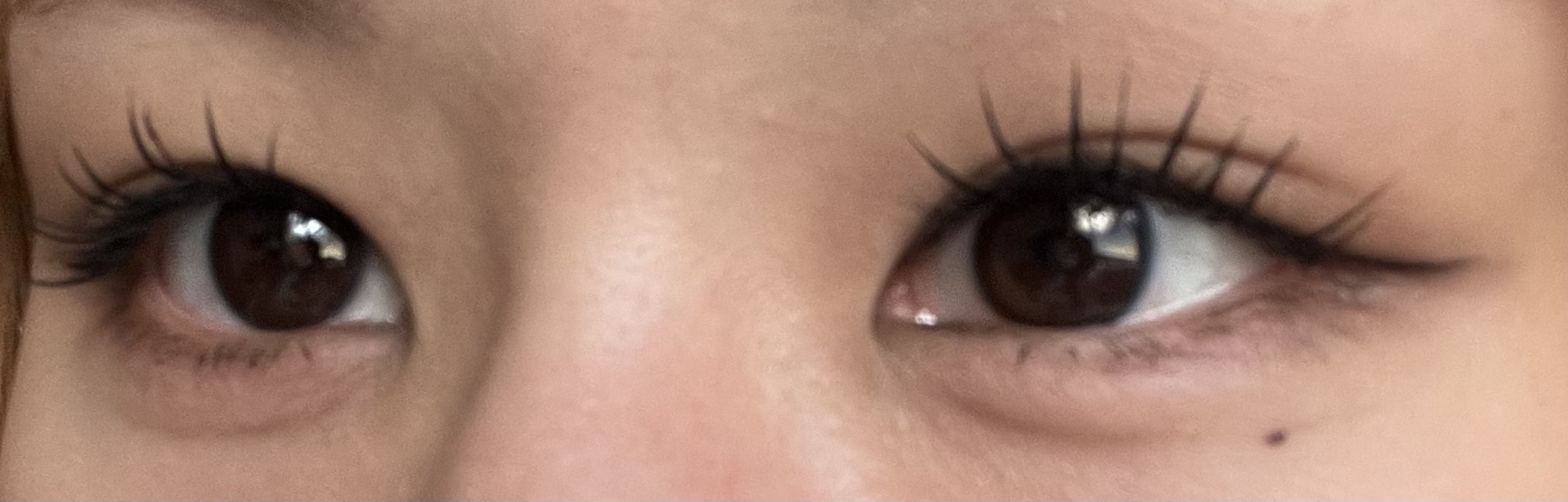 クイックエクステンション/D-UP/つけまつげを使ったクチコミ（1枚目）