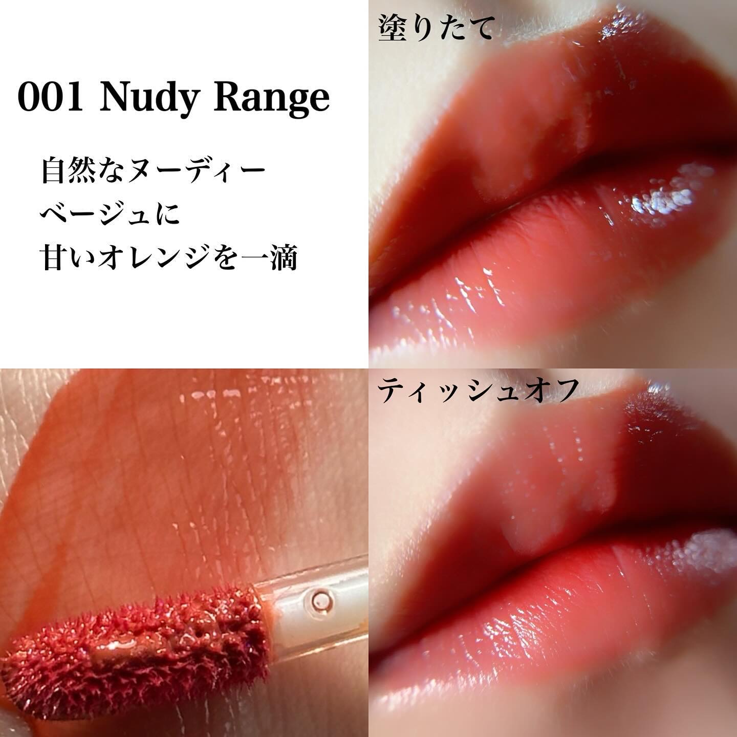 ビルダブルデューイフィットティント/ArteSinsa/リップティントを使ったクチコミ（3枚目）