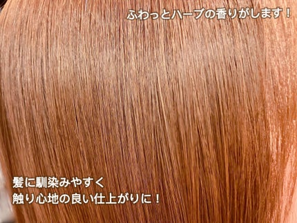 ð¥ã»ã£ã¡ããð¥ on LIPS ãLandp.a.ã»éŠèããŠã³ã¹ãã¢ã»ã©ã è±ãšé¢šFSã»éŠèããŠã³..ãïŒ4æç®ïŒ