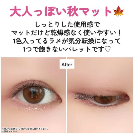 ããã£ãã¬ããã¢ã€ãºïŒãããã¿ã€ãïŒ/ãã£ã³ã¡ã€ã¯/ããŠããŒã¢ã€ã·ã£ããŠã䜿ã£ãã¯ãã³ãïŒ5æç®ïŒ