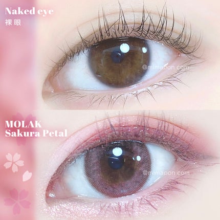 ロング&カラード ラッシュ/excel/マスカラを使ったクチコミ(2枚目)