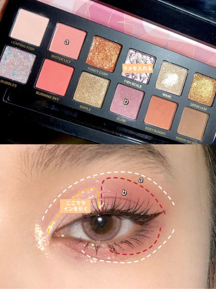 エクスプローラ12色 動物アイシャドウパレット/PERFECT DIARY/アイシャドウパレットを使ったクチコミ(2枚目)