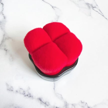 HANATSUBAKI HAKE ポリッシング フェイスブラシ/SHISEIDO/メイクブラシを使ったクチコミ(2枚目)