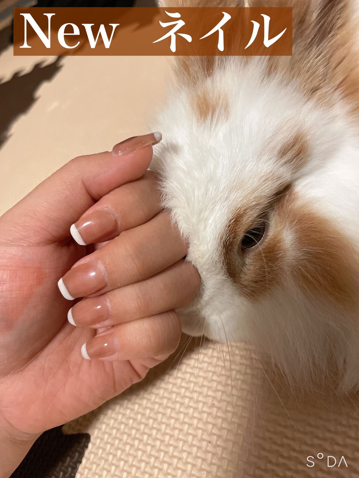 グレースジェルベース/グレースジェル/ジェルネイルを使ったクチコミ(1枚目)