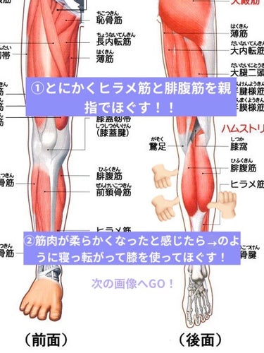 みなさんこんにちは！スイハです
最近脚やせと顔痩せ頑張ってて、自分の脚少しだけ前よりも好きになりました…まだまだ頑張るけど！！

脚やせ本題は☁️☁️☁️☁️☁️まで飛んでください！


魅力的な脚ってどんなのかご存知ですか❔
ただストーンって真っ直ぐな脚は綺麗ではないらしいです！程よい筋肉のついたスラッとした脚がモデルでも求められるそう🤔💭


ヨガの先生🗣「筋肉はほぐせば減る」
だそうですので地道に頑張りましょう！！！


私は骨格ストレートで元々筋肉がつきやすい体質、普段の生活だけでもう筋トレしているも同然❗️ドライヤーするだけで上腕二頭筋がムキムキになります😂

骨格ストレートは痩せても気づかれにくいし、痩せても華奢になりにくい！
私は首もめちゃ短くて、鎖骨は一切見えない！顔にお肉つくからダルマですか？ってくらい丸顔！マスク外せない😭

でも、筋肉がつきやすくて代謝がいい❤️‍🏋️
ポジティブに生きたいと思います



✏️筋肉質な人はとにかく筋肉をほぐす事が大切です
めっちゃ強くほぐすのを1日だけ、と言うよりは3分だけほぐすを毎日続けた方が効果が出ます❕

☁️☁️☁️☁️☁️☁️☁️☁️☁️☁️☁️☁️☁️☁️

ちなみに1枚目の写真は無加工です！📸
私の脚やせ方法は、

①お風呂あがりにクリームを塗って、親指で骨と筋肉の境目を痛気持ちいい程度で押す
（やりすぎる痛くなるので気をつけてください）

②ほぐれた後に寝っ転がって画像3枚目のようにふくらはぎをもう片方の足に当てて筋肉をほぐす

🌟寝っ転がりながらできるのでズボラな私は②だけやる日もあります！笑　やらないより少しこれをやるだけでも満足感あるし効果あります🌟


これで終わりです❕この後メディキュットを履いたり履かなかったり（暑いので最近履いてない）


最近は筋膜リリースでローラーを使ったりしてます！手でマッサージよりも手軽にできて続けやすいのでおすすめです✨やりすぎて歩くと足に電流が走るように痛くなったのでみなさんは適度に！やりましょう…


綺麗な脚になりたいものです
みなさん頑張りましょうっ！🙌🏻💯


【追伸】　今はコメント封鎖してしまっているのですが、実はとある女性の方から「1週間続けたら効果出ました！ありがとうございます！」という嬉しいご報告をいただきました…🥲
こちらこそお役に立てて嬉しいです！！🫶🏻💗

あとこんなにもたくさんのいいねを頂けて恐縮です💦💦　これからも情報発信頑張ります！の画像 その1