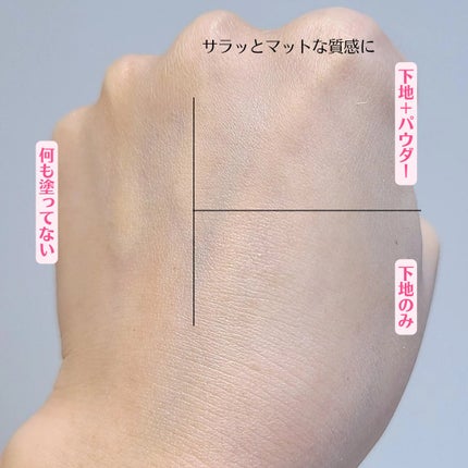 ハイドラセッティングパウダー/byLieto/プレストパウダーを使ったクチコミ(4枚目)