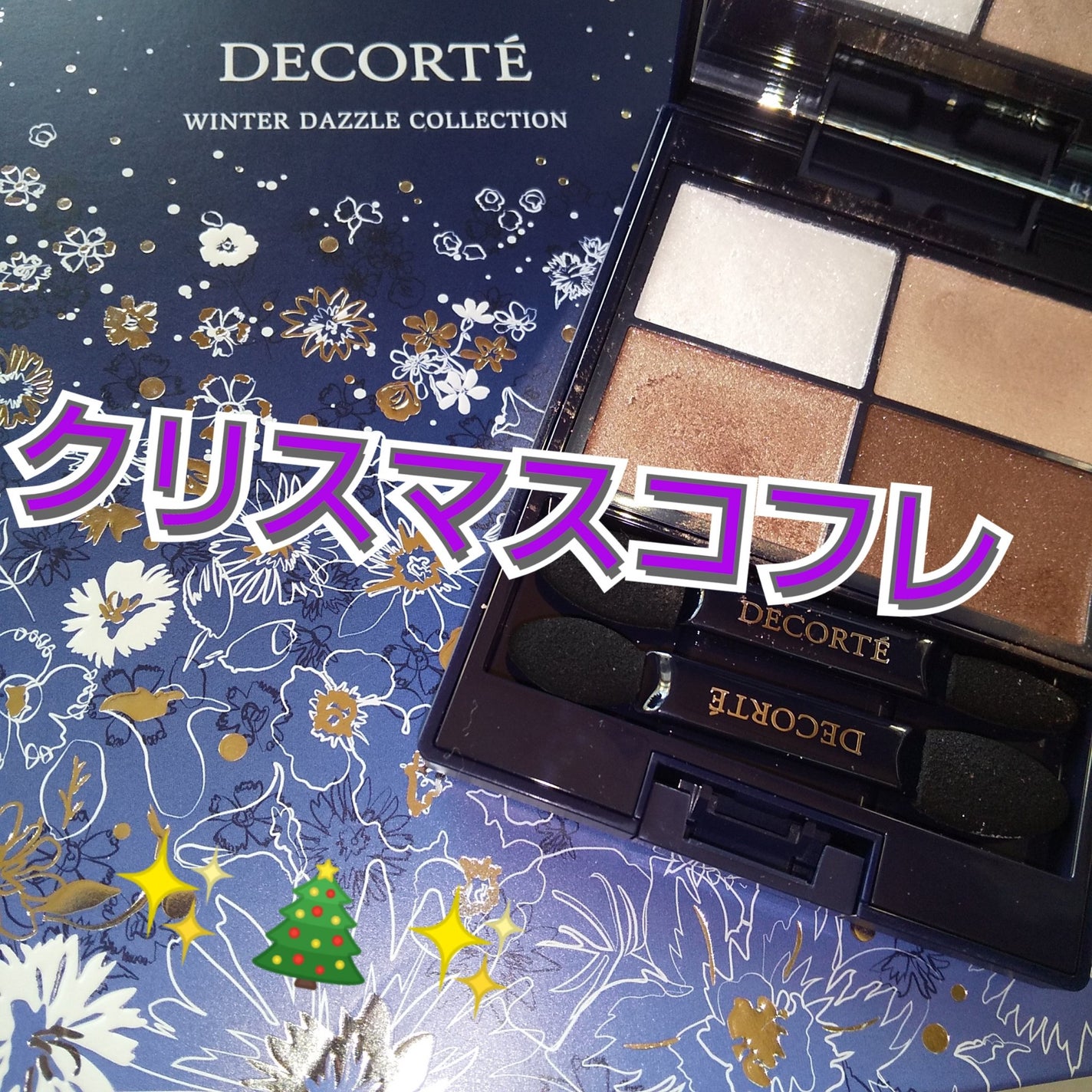 ウィンターダズル コレクション/DECORTÉ/メイクアップキットを使ったクチコミ(1枚目)