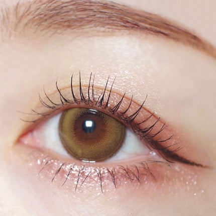 エクスプローラ12色 動物アイシャドウパレット/PERFECT DIARY/アイシャドウパレットを使ったクチコミ(4枚目)