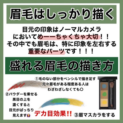 シャドーカスタマイズ/MAJOLICA MAJORCA/単色アイシャドウを使ったクチコミ(3枚目)