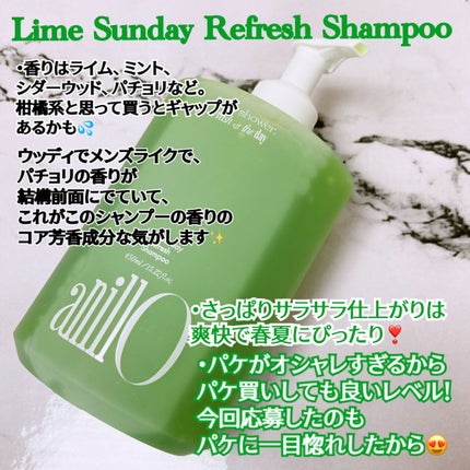 ライムサンデー リフレッシュシャンプー/ANILLO/市販シャンプーを使ったクチコミ(2枚目)