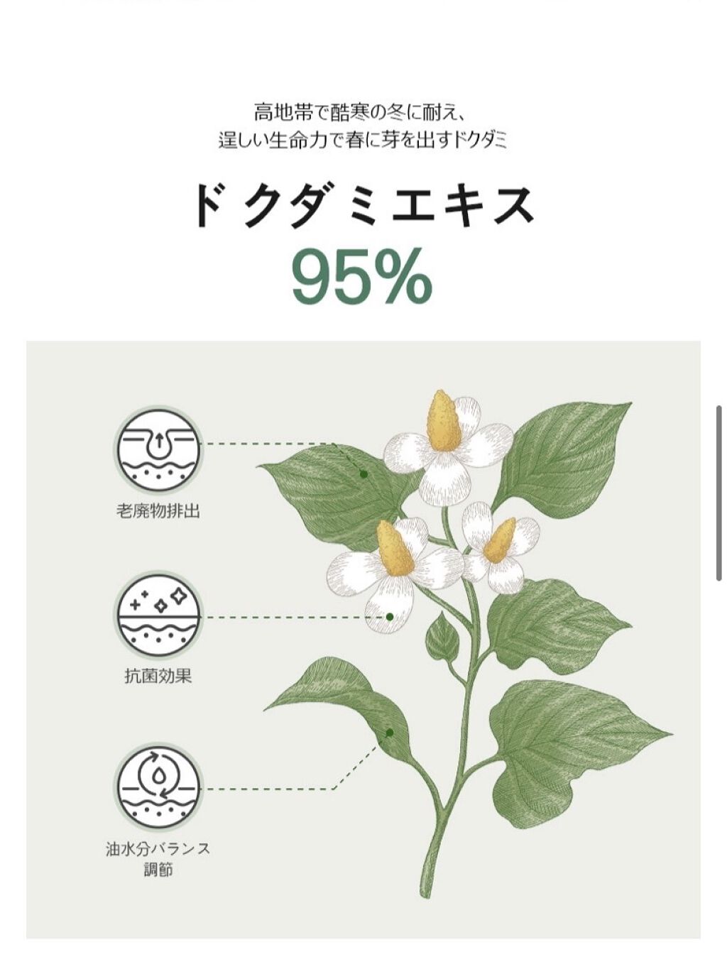 Houttuynia Cordata 95% Mask/Ongredients/シートマスク・パックを使ったクチコミ（3枚目）
