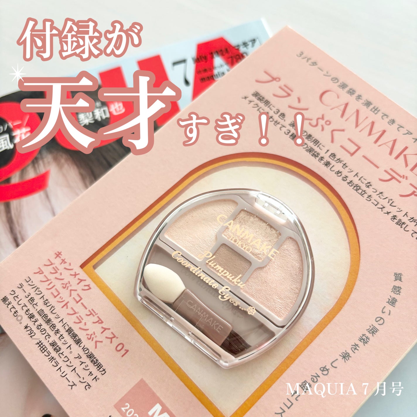 プランぷくコーデアイズ/キャンメイク/パウダーアイシャドウを使ったクチコミ(1枚目)