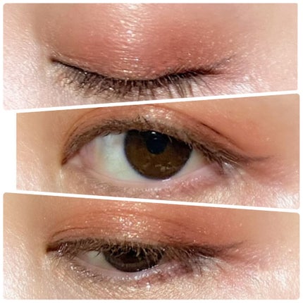 ザ ヘリテージ シャドウパレット/MERZY/アイシャドウパレットを使ったクチコミ(3枚目)