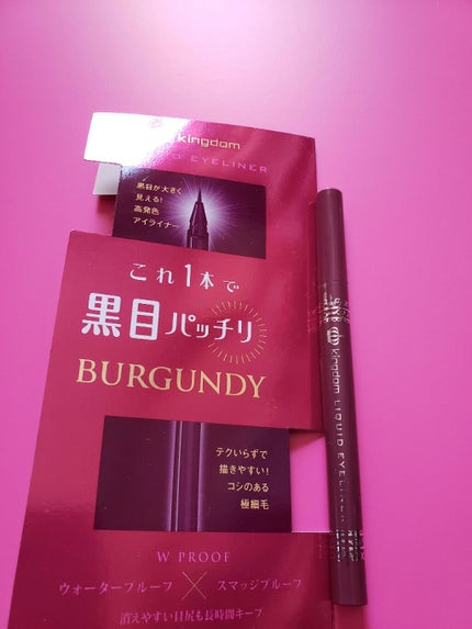 リキッドアイライナーS/キングダム/リキッドアイライナーを使ったクチコミ(1枚目)