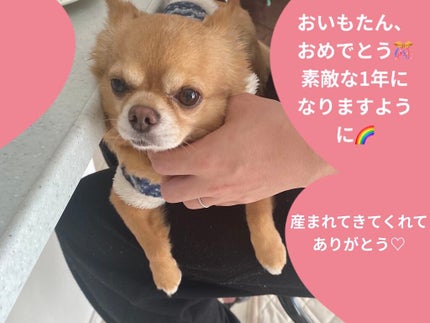 アイ カラー クォード/TOM FORD BEAUTY/アイシャドウパレットを使ったクチコミ(5枚目)