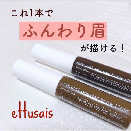 チップオン アイブロー/ettusais/パウダーアイブロウを使ったクチコミ(1枚目)