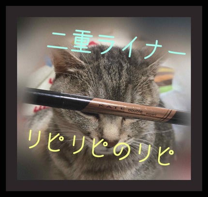 ダブルラインエキスパート/KATE/リキッドアイライナーを使ったクチコミ(1枚目)