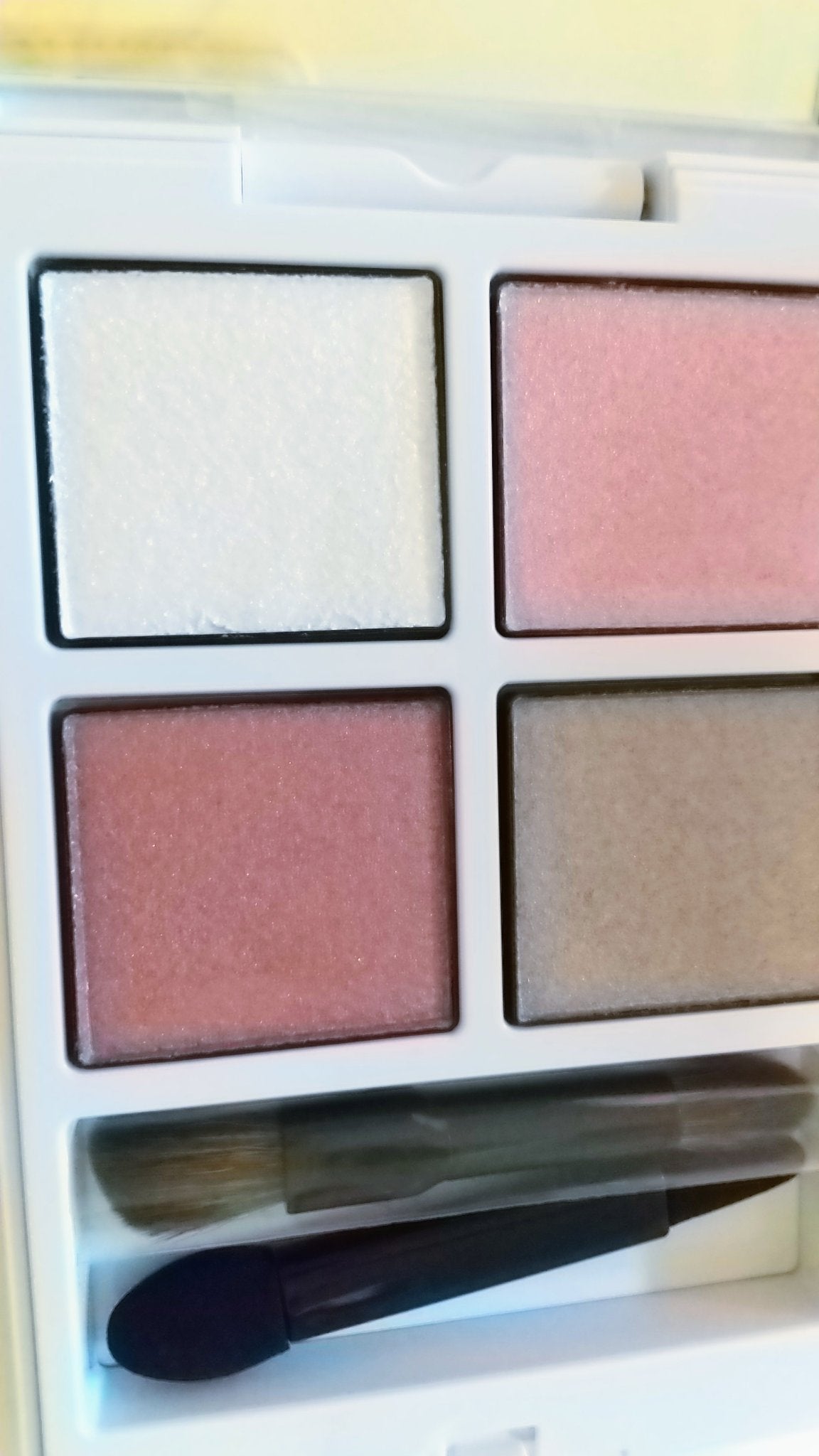 アディクション ザ アイシャドウ パレット “アウト オブ ユア シェル”/ADDICTION/アイシャドウパレットを使ったクチコミ(1枚目)