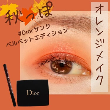 【旧】サンク クルール クチュール 629 コーラル ペイズリー/Dior/パウダーアイシャドウを使ったクチコミ（1枚目）